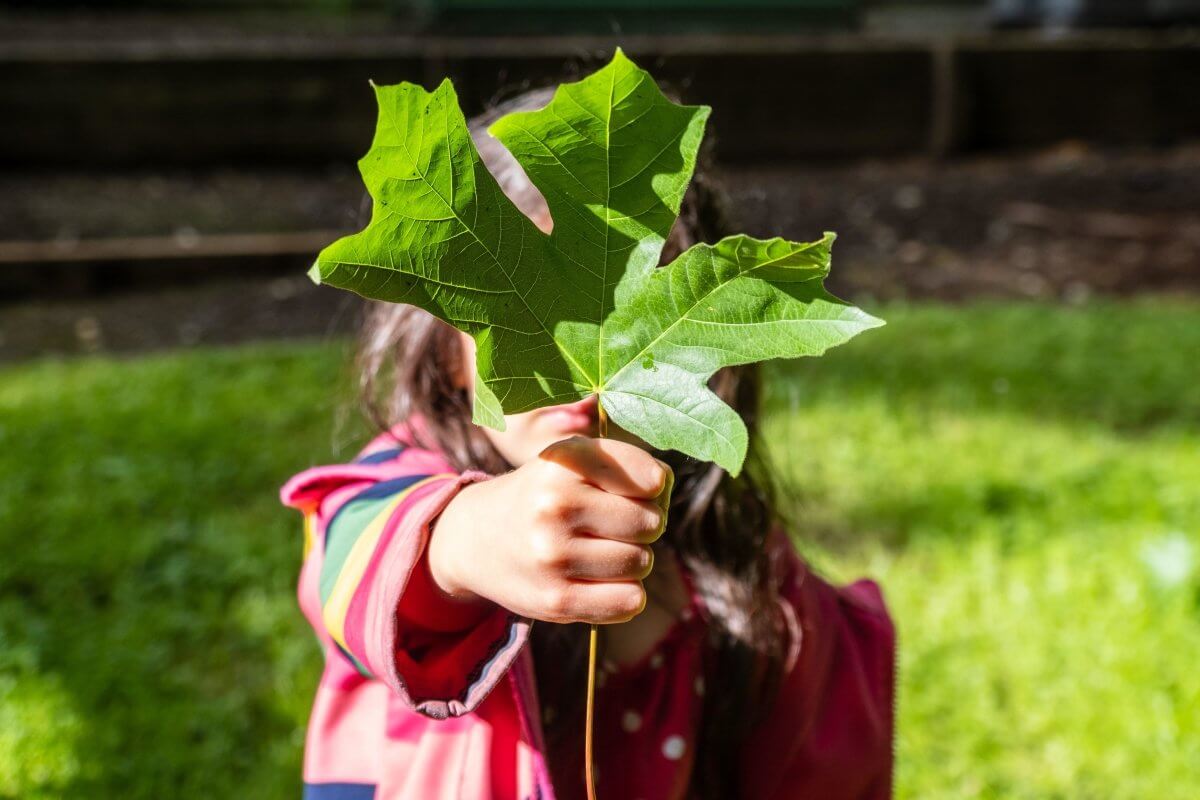 Bayrli®What is Climate Neutral, and why have we signed up?